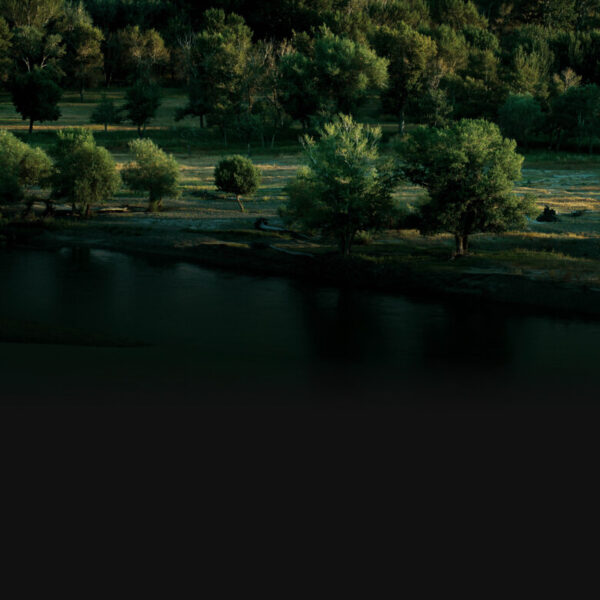 Камера DJI Zenmuse P1